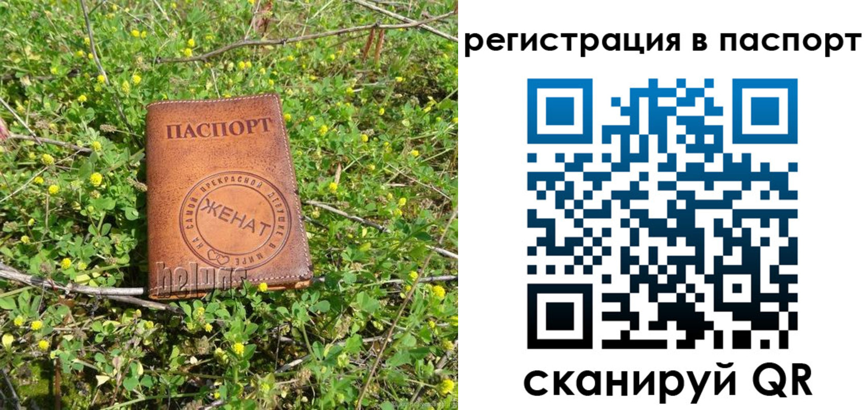 прописка законно в Юрьев-Польском